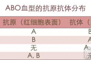 不同的血型组合，会生出什么血型的孩子？