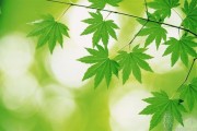 追求速度感？四大血型喜欢速度与激情吗？