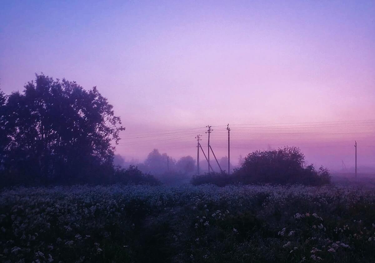 每天很累肾虚？别让疲惫偷走你的活力，这些方法助你重拾元气！