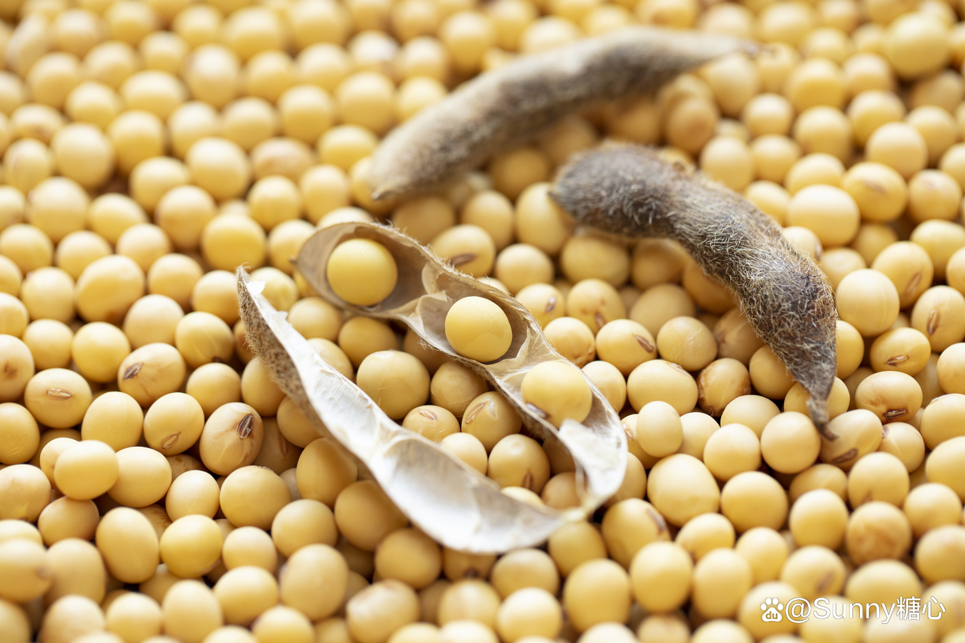 祛斑食物(祛斑食物怎么吃效果好)