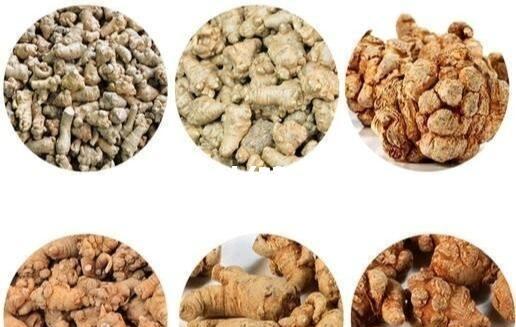 三七如何祛斑(三七如何祛斑美白)