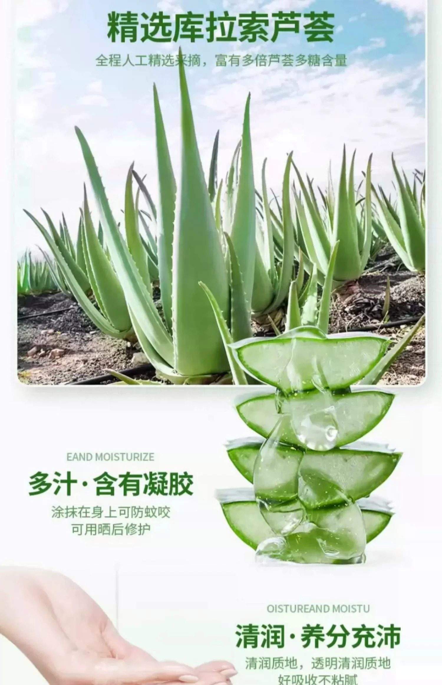 芦荟胶可以祛斑吗(好体面芦荟胶囊能祛黄褐斑吗)