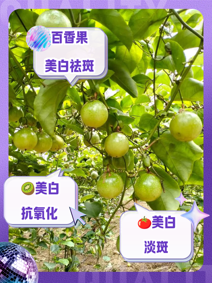 吃什么水果祛斑最快(什么水果刮油效果最好)