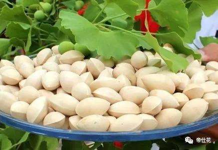 白果可以祛斑吗(白果能美容养颜吗) 白果可以祛斑吗(白果能美容养颜吗)