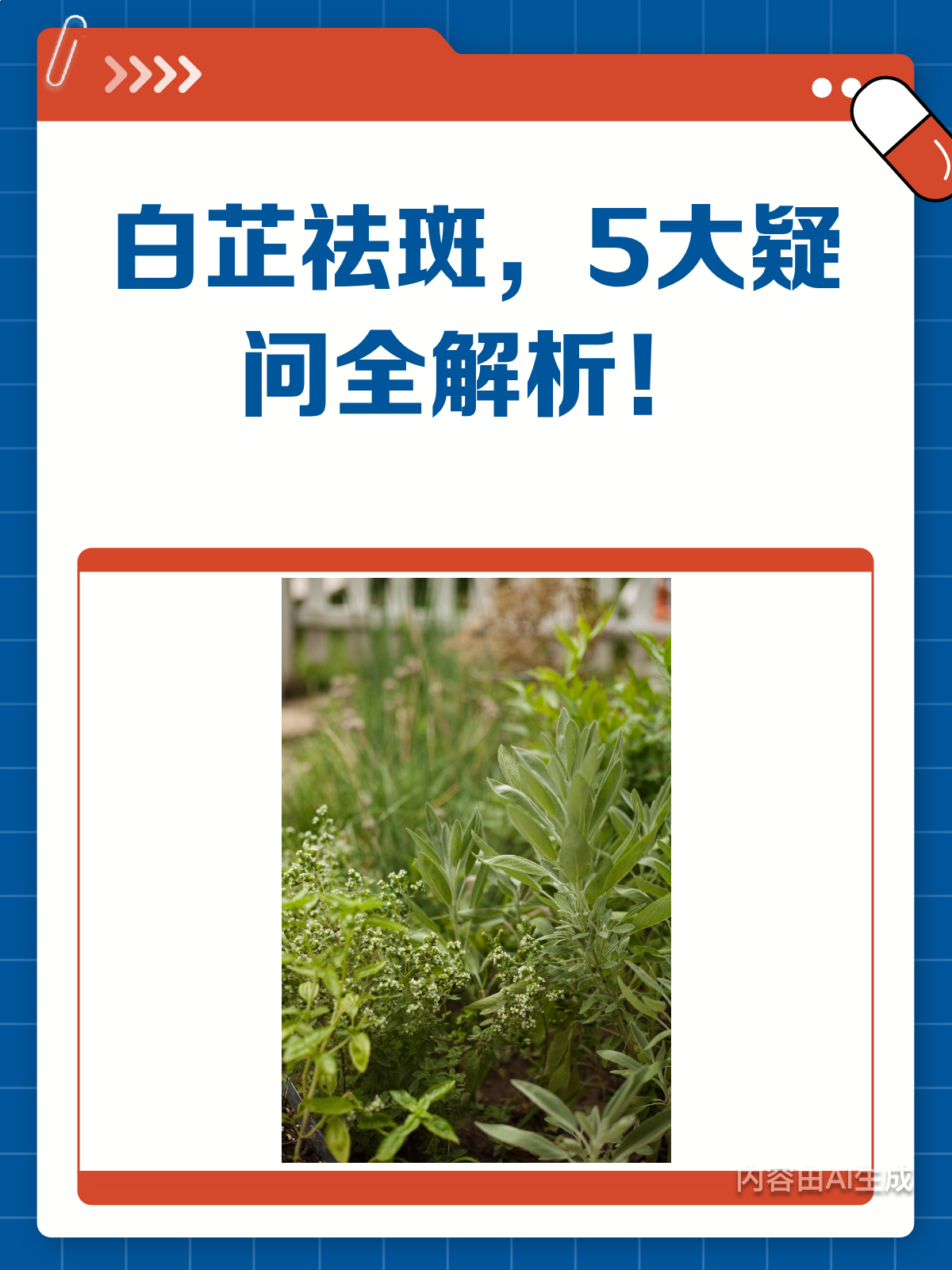 白芷祛斑具体方法(白芷祛斑具体方法,需要配合什么护肤品?)