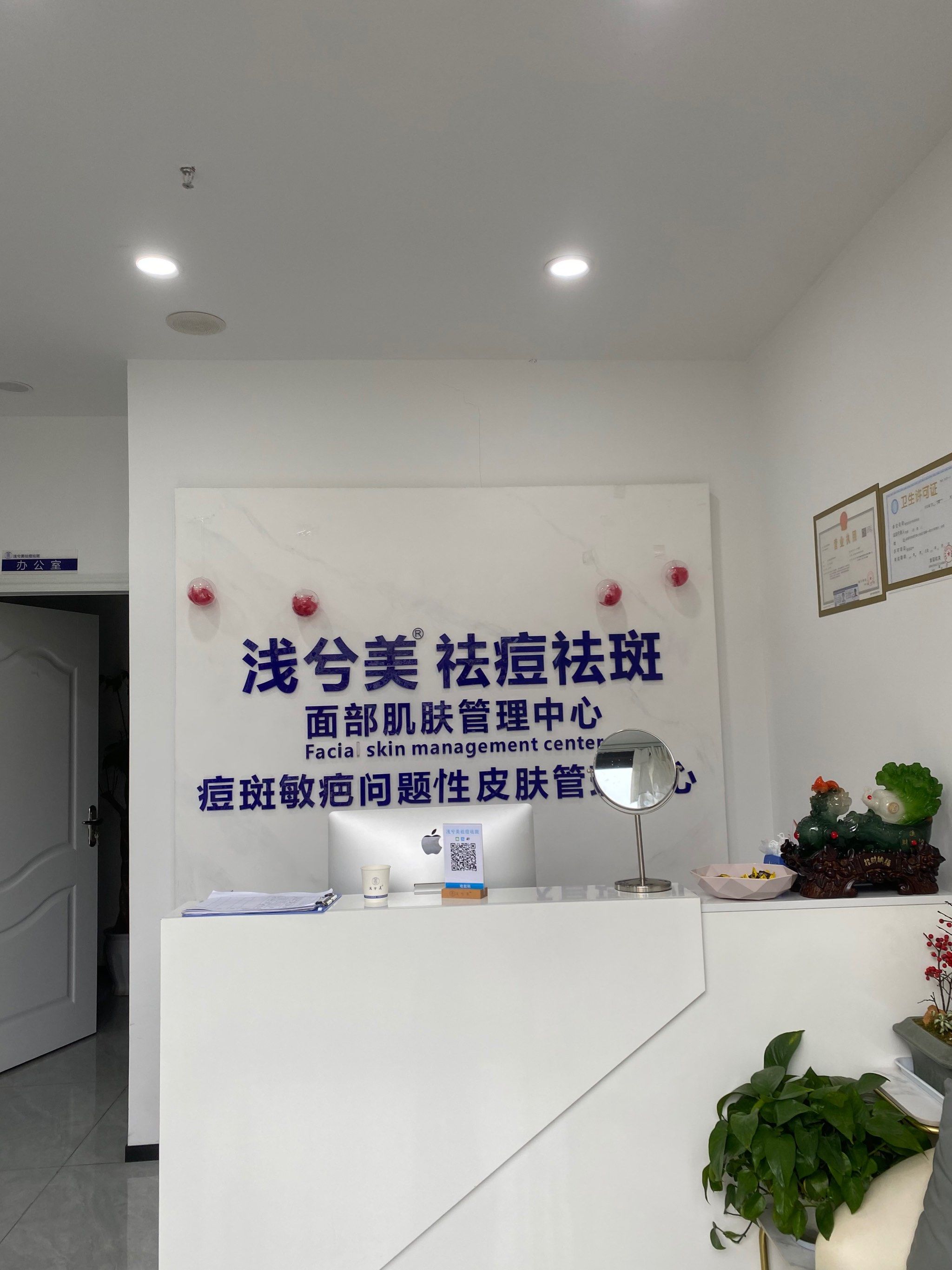 祛斑祛痘加盟(祛斑祛痘加盟品牌店)