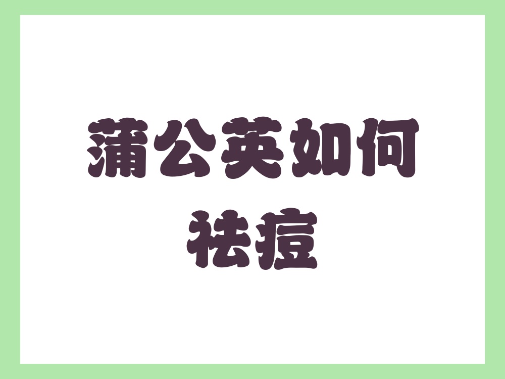 喝了蒲公英痘痘越严重了(喝蒲公英脸上长疙瘩是排毒吗)